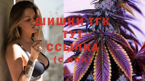 ПСИЛОЦИБИНОВЫЕ ГРИБЫ Абаза
