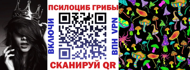 Псилоцибиновые грибы Psilocybe  MEGA ССЫЛКА  Усть-Илимск 