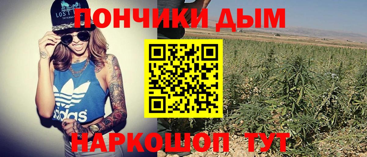 Шишки марихуана марихуана  Вход с VPN  Усть-Илимск  Марихуана тримм  Бошки марихуана AK-47  Бошки Шишки гибрид 